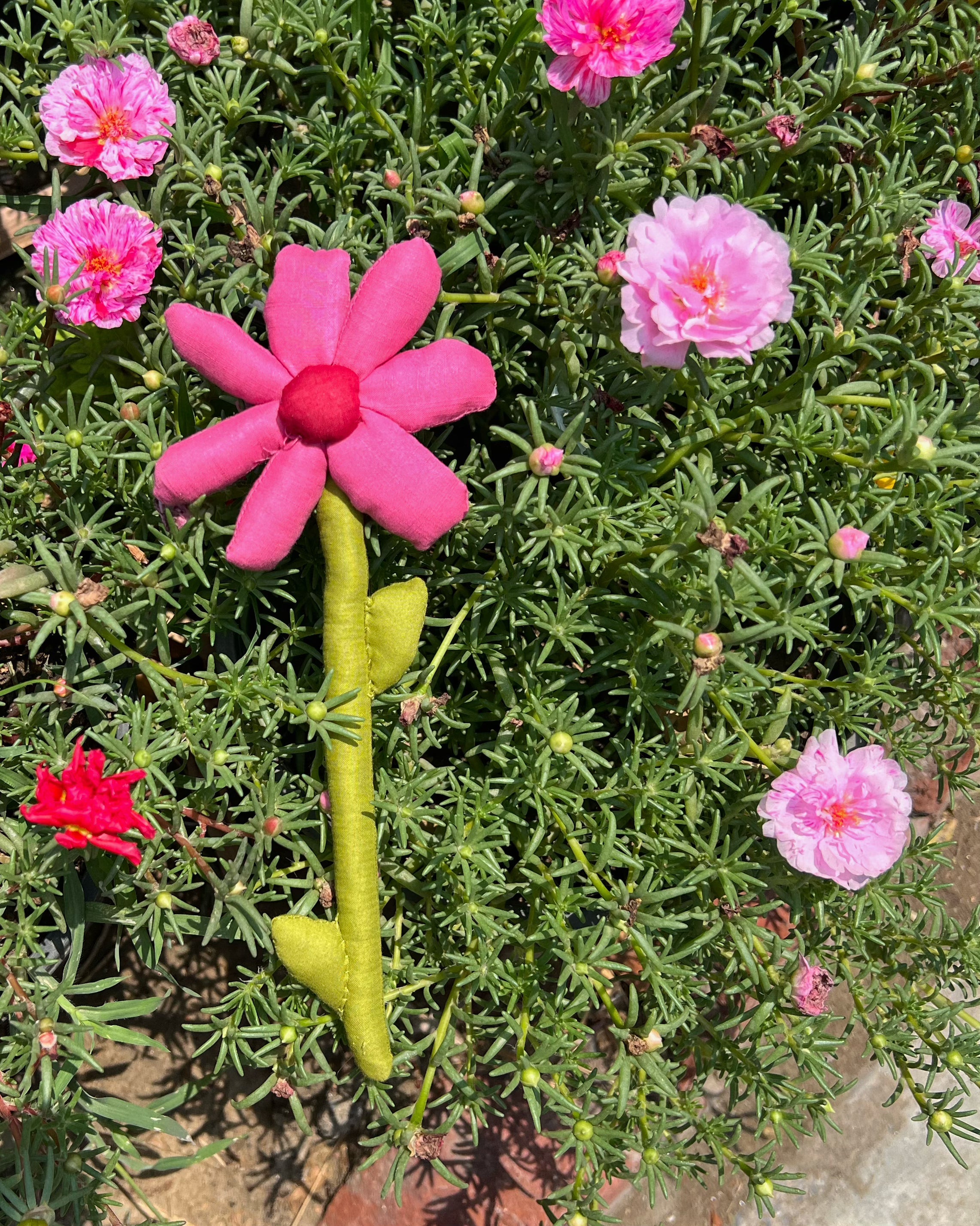 Hand-Crafted Phool